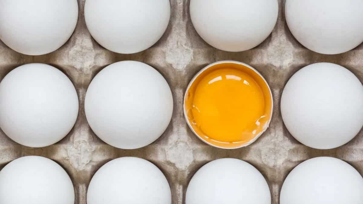 Maharashtra Egg Shortage: 5 Alternative Protein Sources to Try