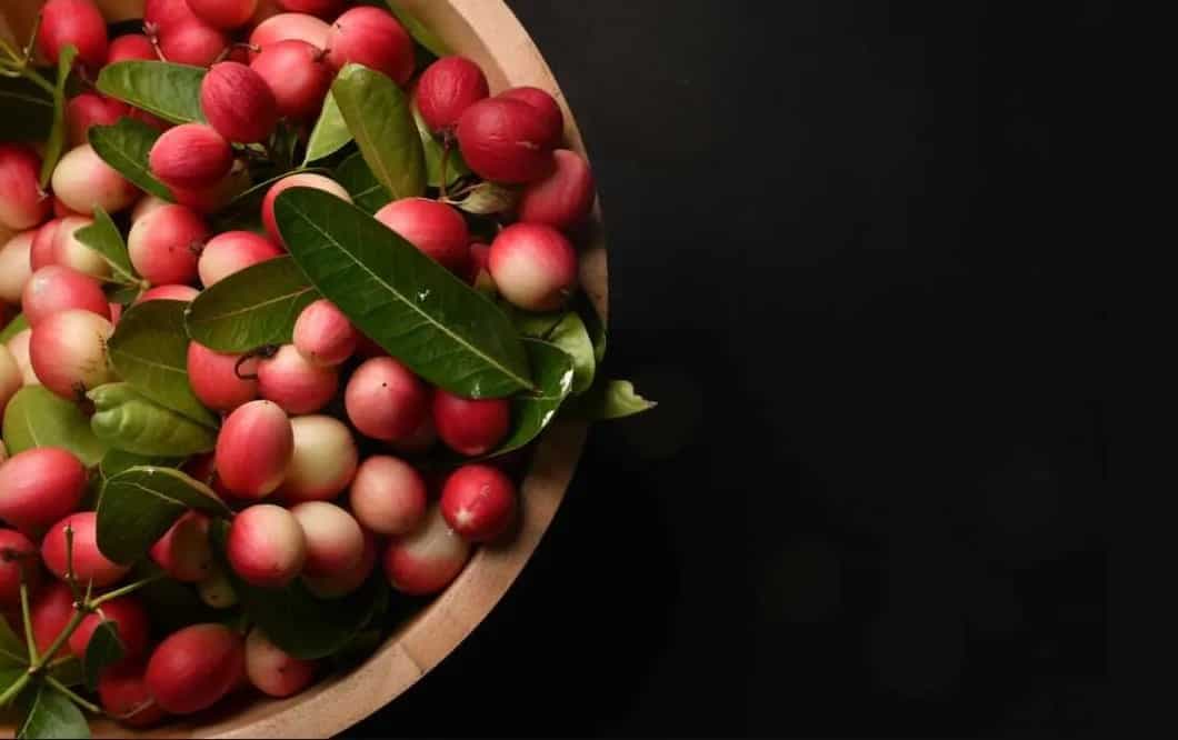 Karonda: All About The Indian Berry Packed With Antioxidants