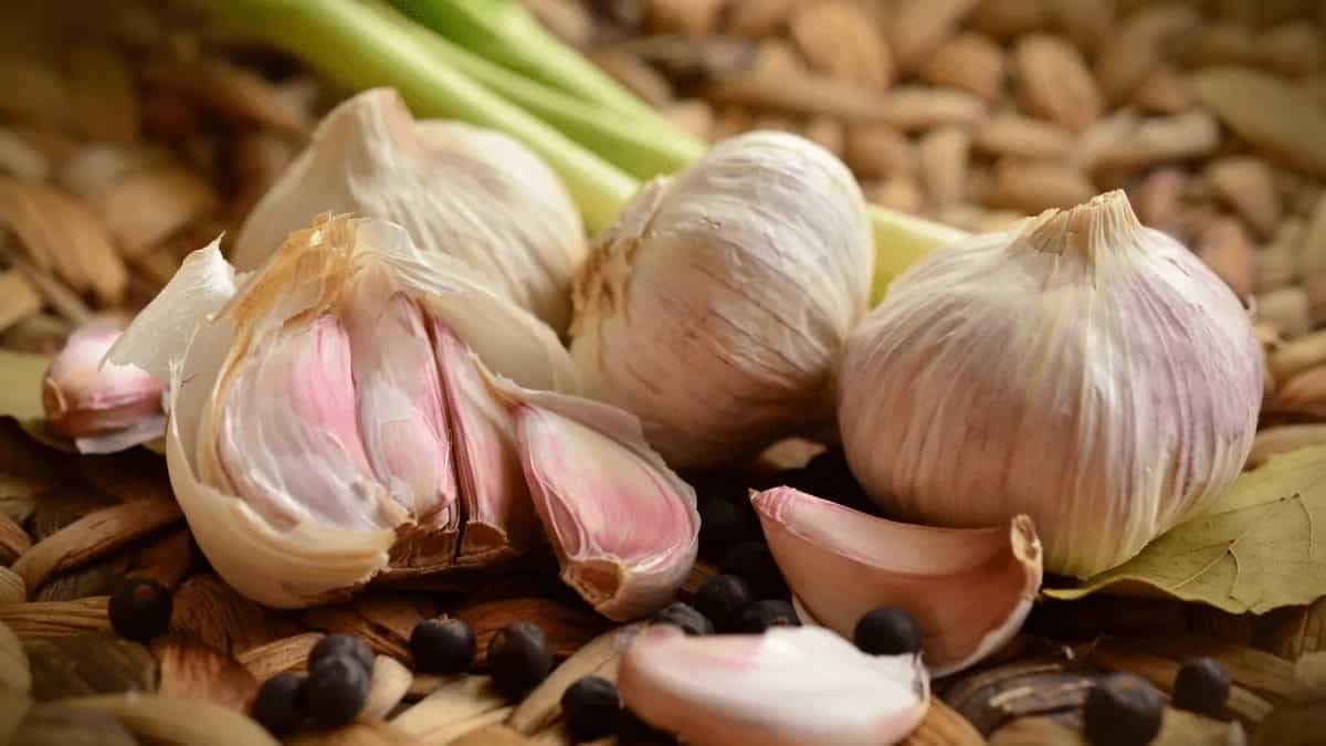 Garlic 101: 7 Miraculous Health Benefits Of Including In Diet