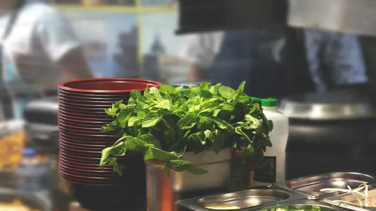 Be Summer Ready: 7 Health Benefits Of Mint To Know About