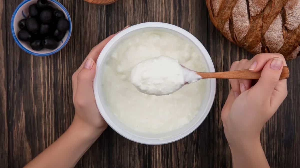 5 Tips To Set Curd At Home In Winters 