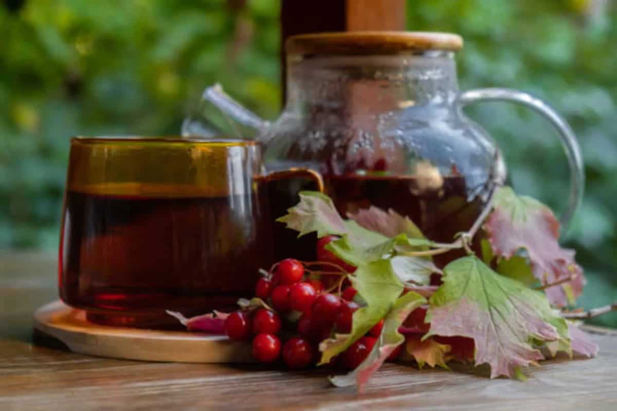 Discovering Tisanes And The Varieties Of These Herbal Infusions