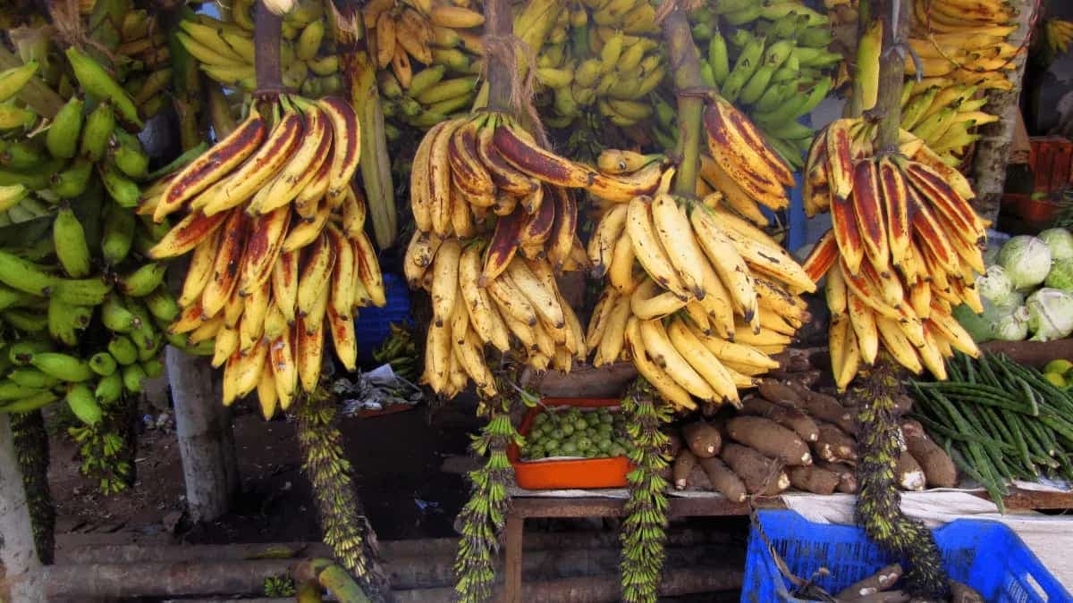 Kaayi Beragiyathu: Kerala Style Ripe Banana Scramble Recipe