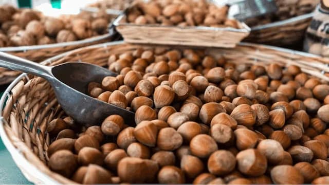 Growing Hazelnut From Seeds: Essential Tips For Urban Gardeners