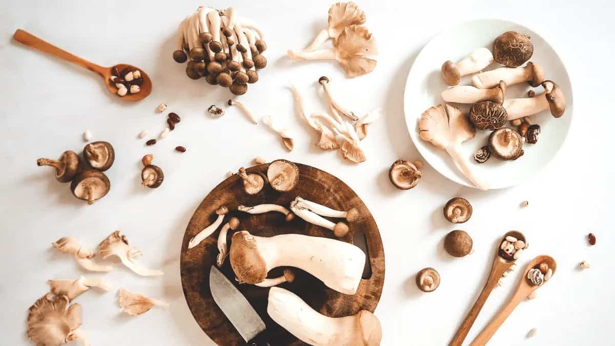 Know These Different Types Of Mushrooms?