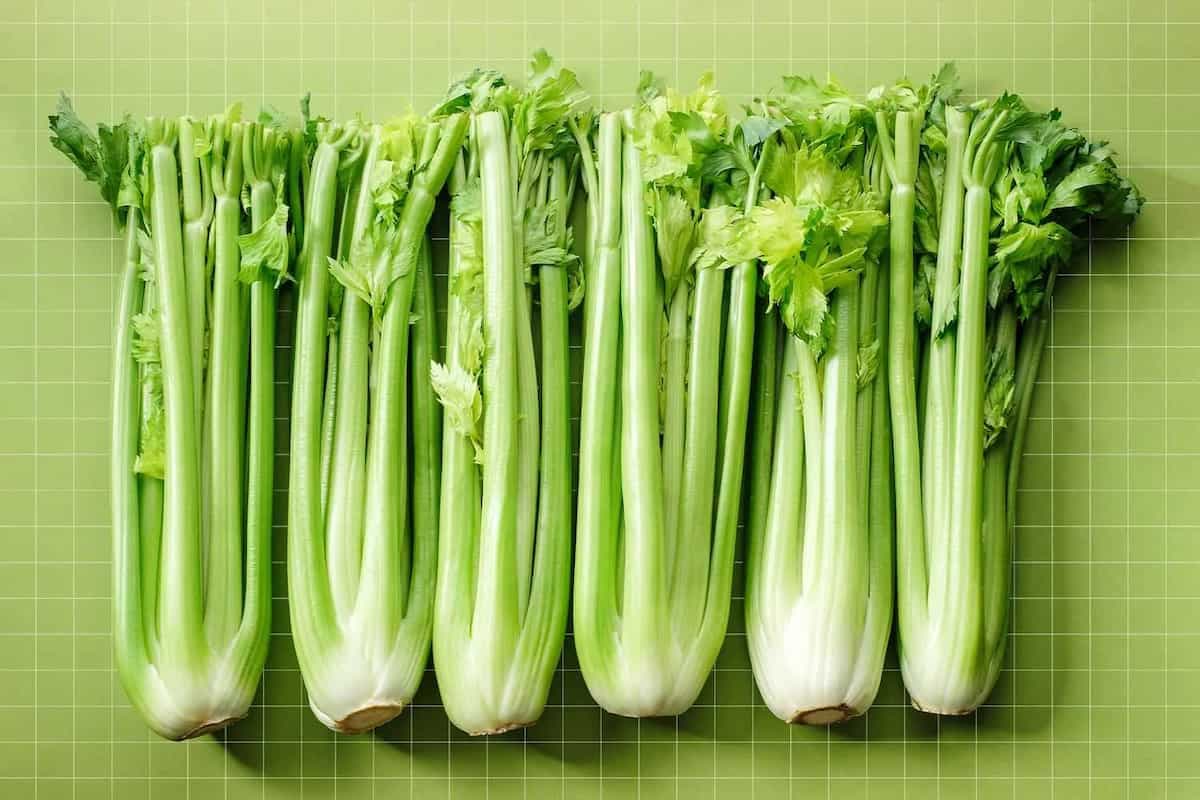 Ultimate Guide To Celery: Who Should Eat And Who Shouldn't?