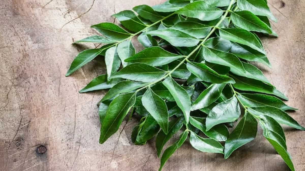 Make Curry Leaves Oil For Hair Growth For A Luscious, Long Mane