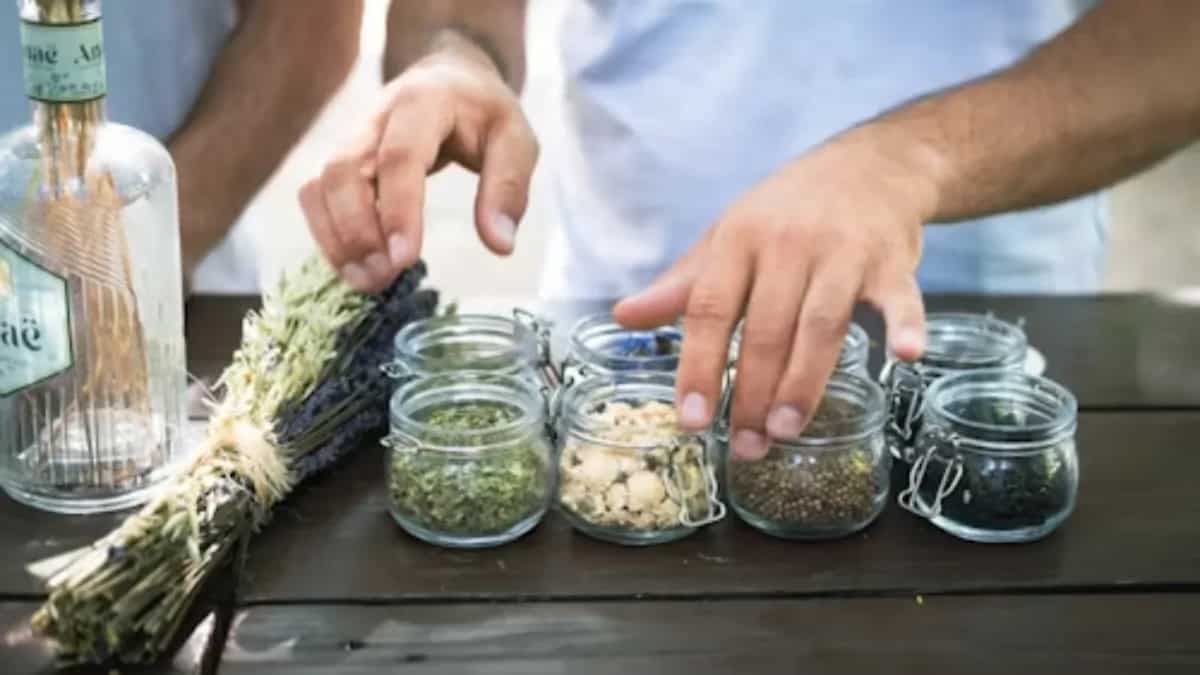 Kitchen Garden Hacks: Tips To Store Seeds Before Planting