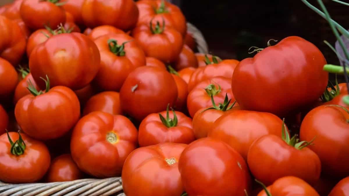 5 Innovative Ways To Utilise Tomato Puree