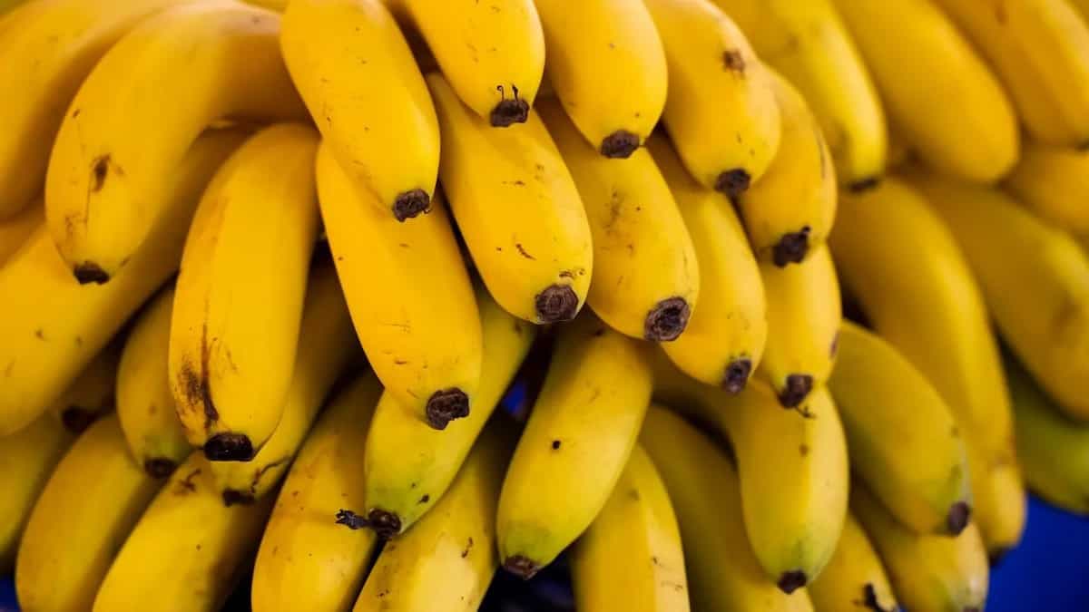 12 Tips To Use Bananas For Healthy Weight Gain