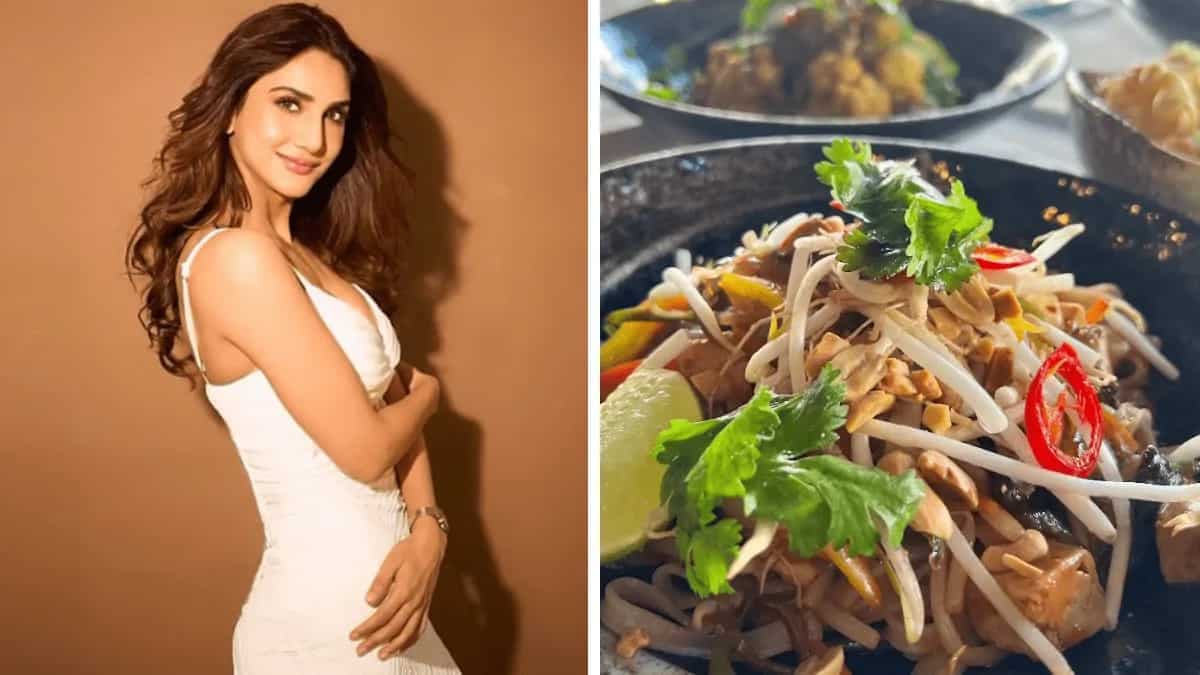 Vaani Kapoor Shares A Sneak Peek Of Her Thai Dinner; Know More