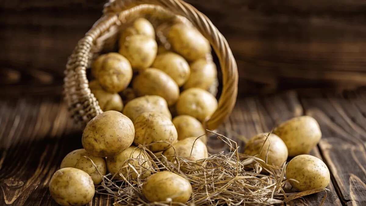 Top 10 Interesting Recipes To Make With Potatoes