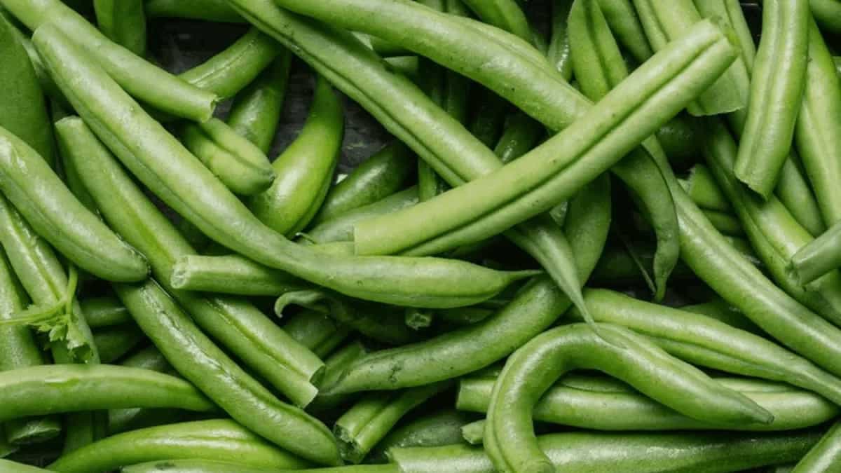 Growing Green Beans In Containers: Tips For Urban Gardeners