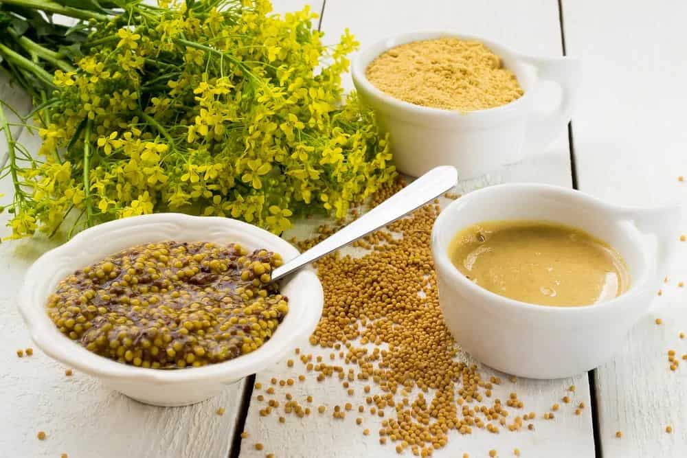 Yellow To Whole Grain, Do You Know These Mustard Sauces?