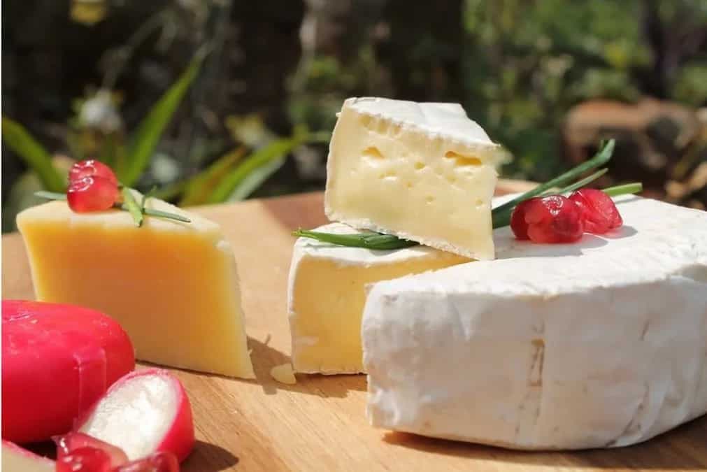 Gouda: Uncovering The Secrets Of The Dutch Cheese