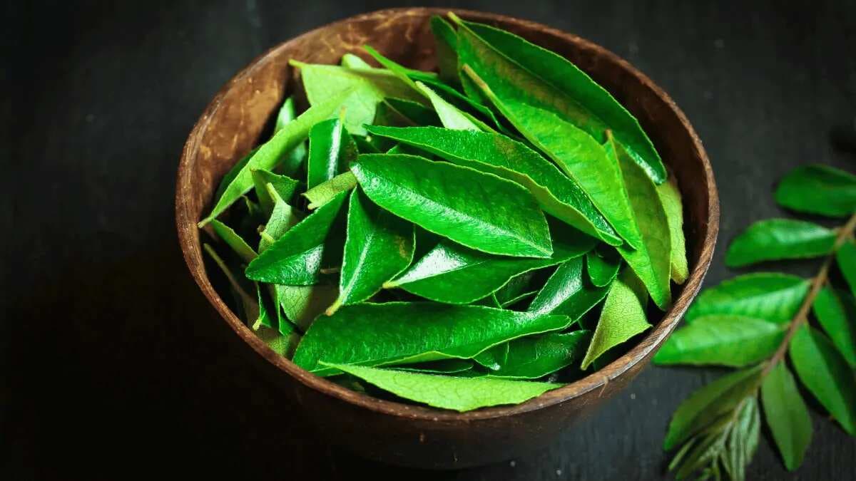 Curry Leaves to Methi: 7 Indian Herbs and Their Culinary Uses