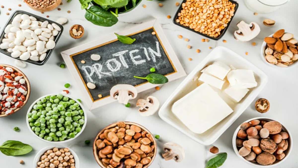 Is Your Protein Intake Correct? Find Out