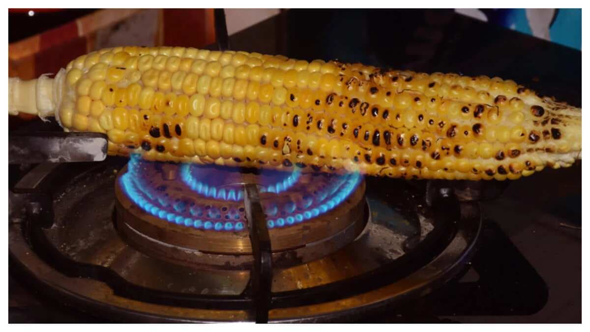 Monsoon Special: 6 Tips for Roasting Corn On the Cob Over Stove 