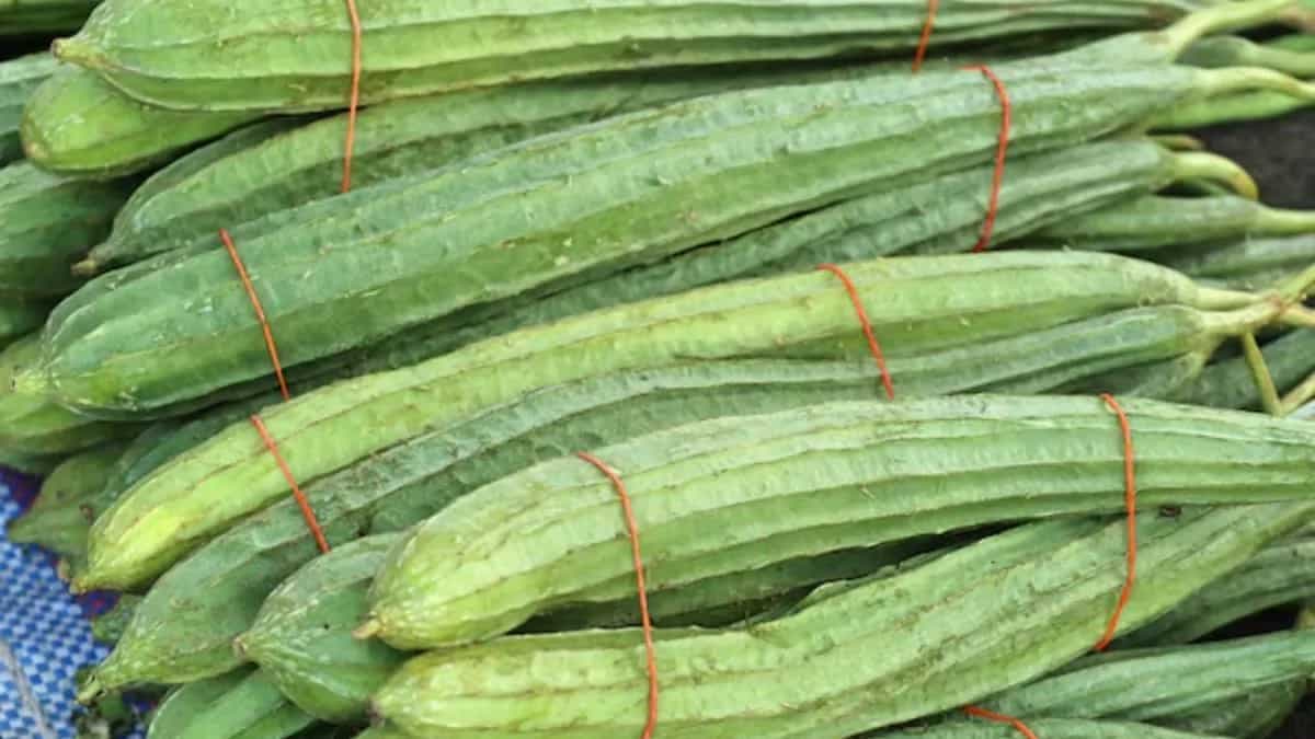 How To Grow Luffa Gourds At Home