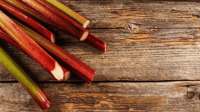 Growing Rhubarb In Kitchen Garden: Tips For Urban Gardeners