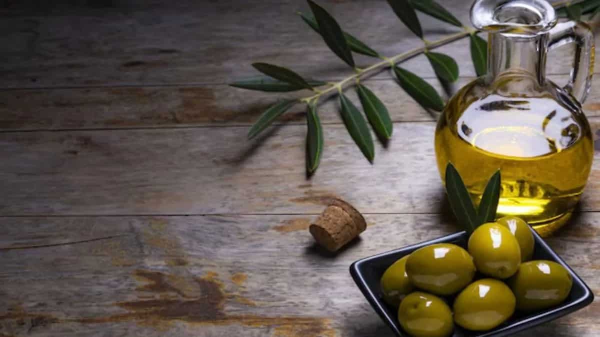 How To Grow Olives At Home