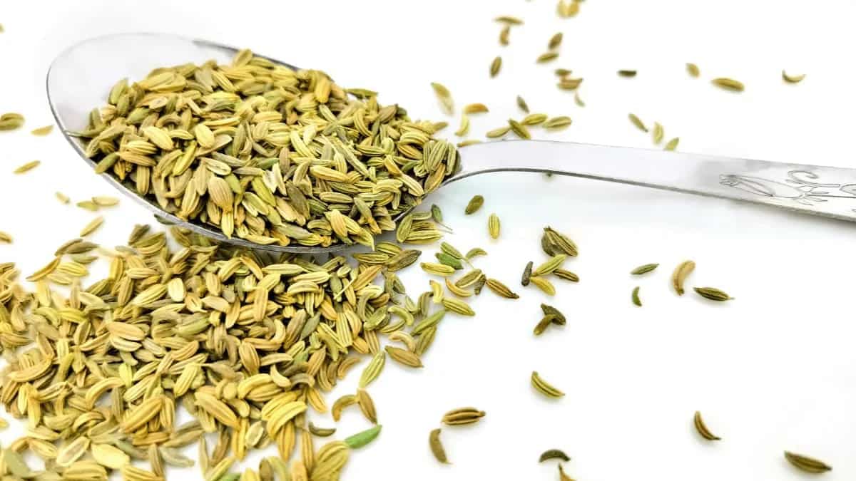 5 Amazing Health Benefits Of Fennel Seeds