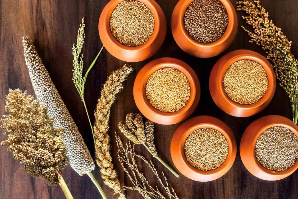 Millets: Explore These Cereal Crops And Discover Tasty Recipes