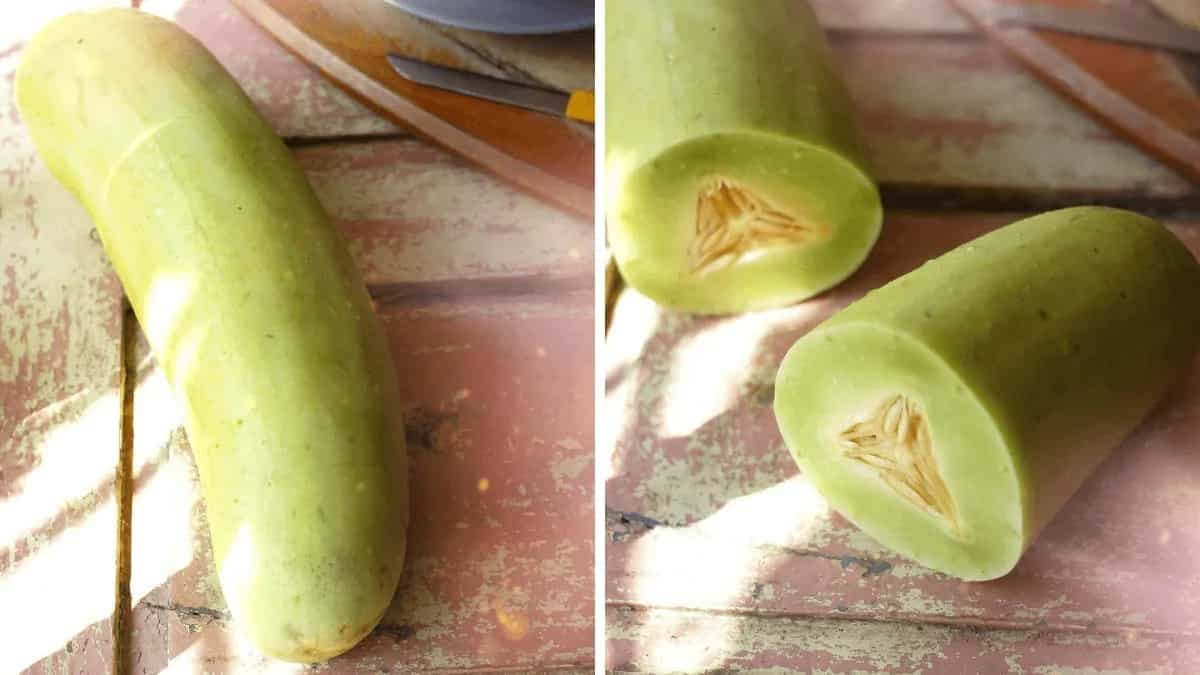 Balam Kakdi: The Seasonal Special Cucumber From Central India