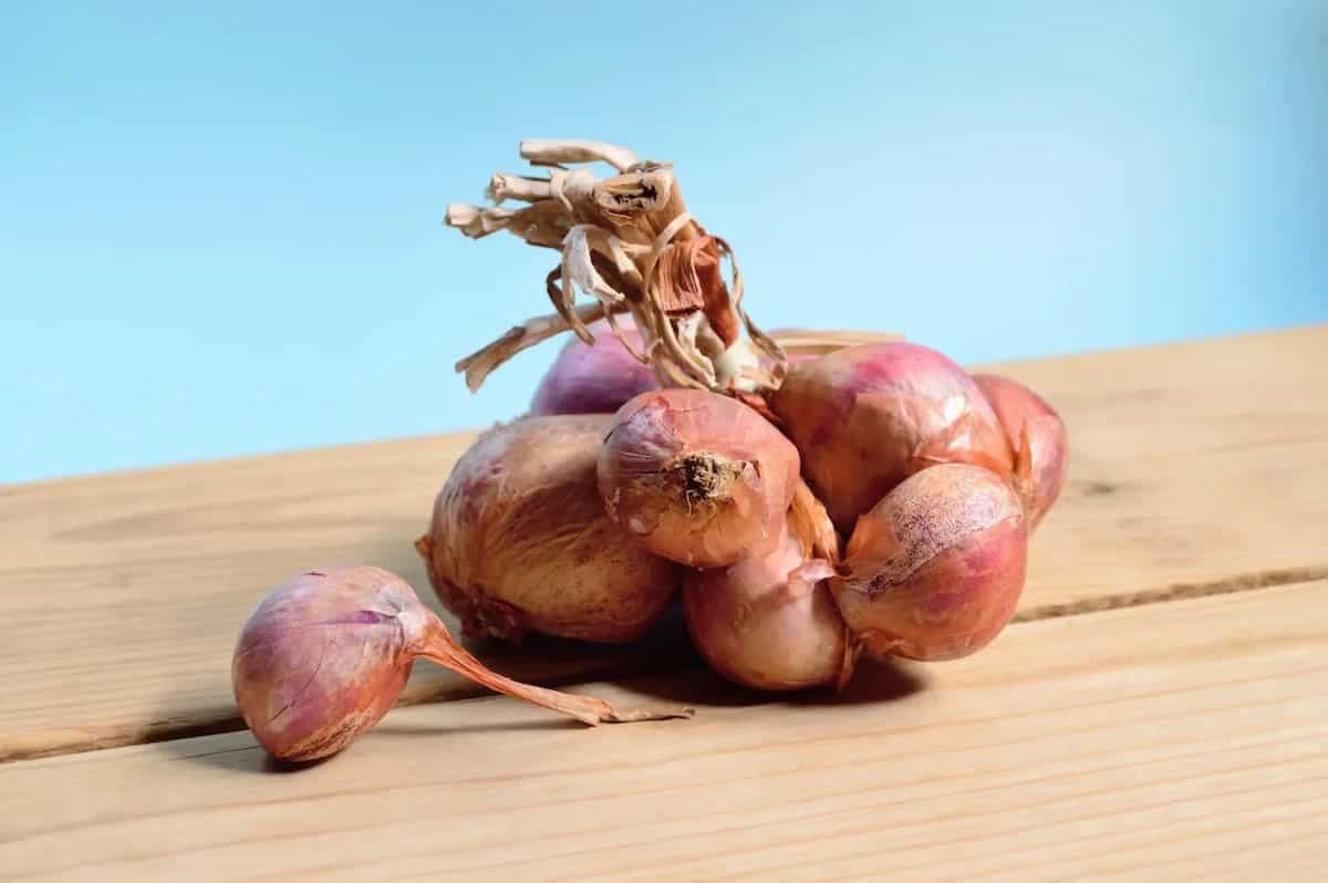 Navigating Rising Onion Prices: 7 Alternatives to Help Cut Costs