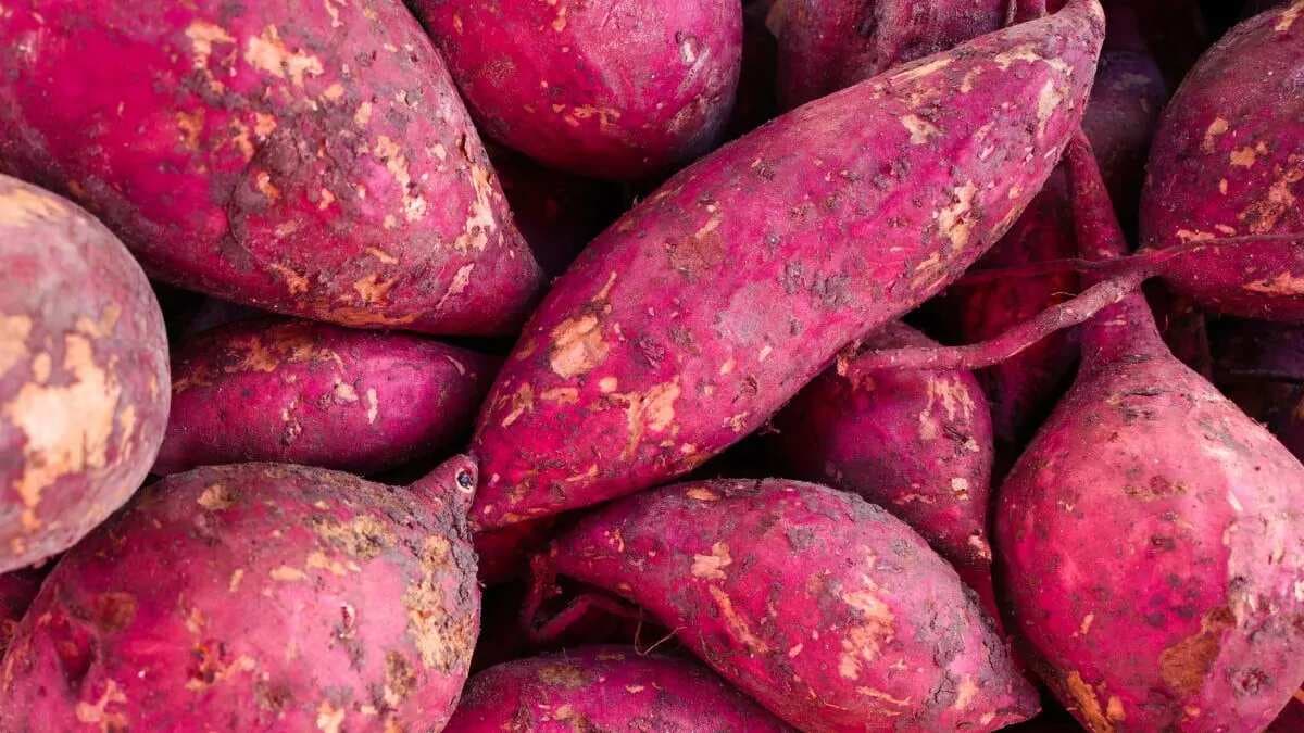 Weight Loss Special, 7 Reasons To Add Sweet Potato To Your Meal