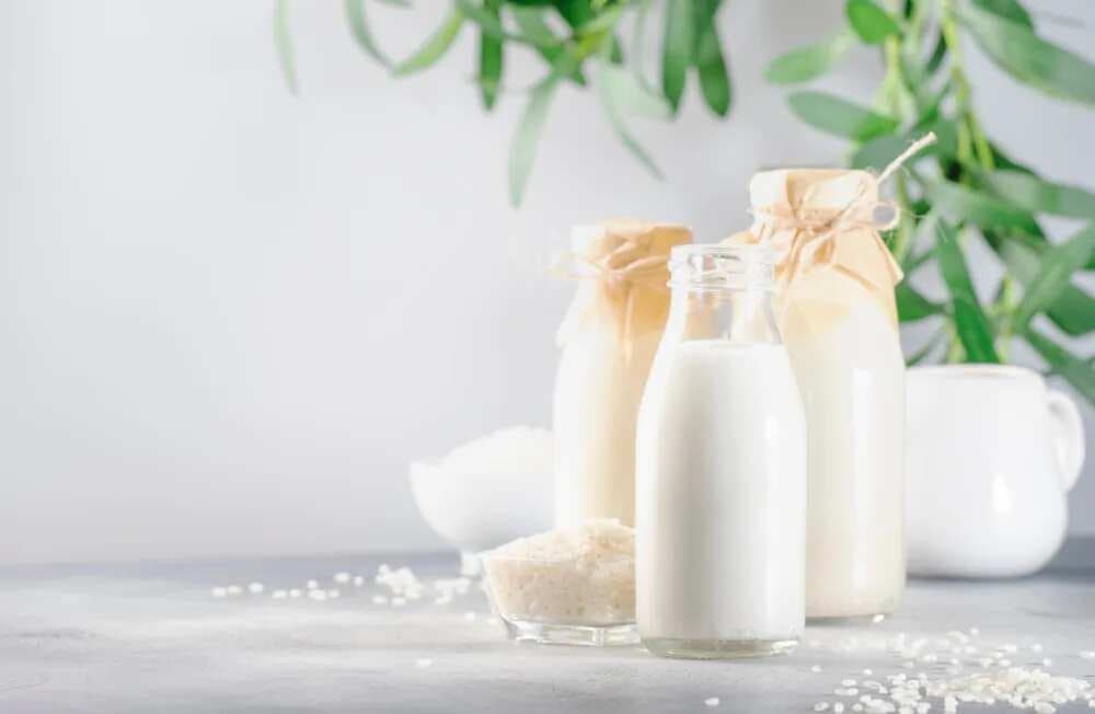 Heard of Lactose-Free Rice Milk? Know 6 Healthy Benefits 