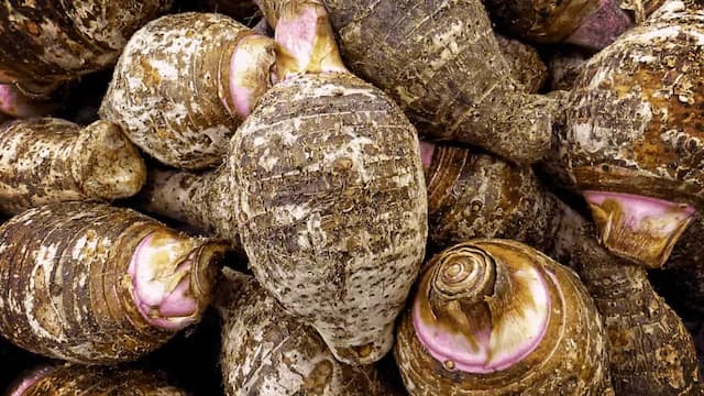 Growing Taro At Home: Essential Tips For Urban Gardeners