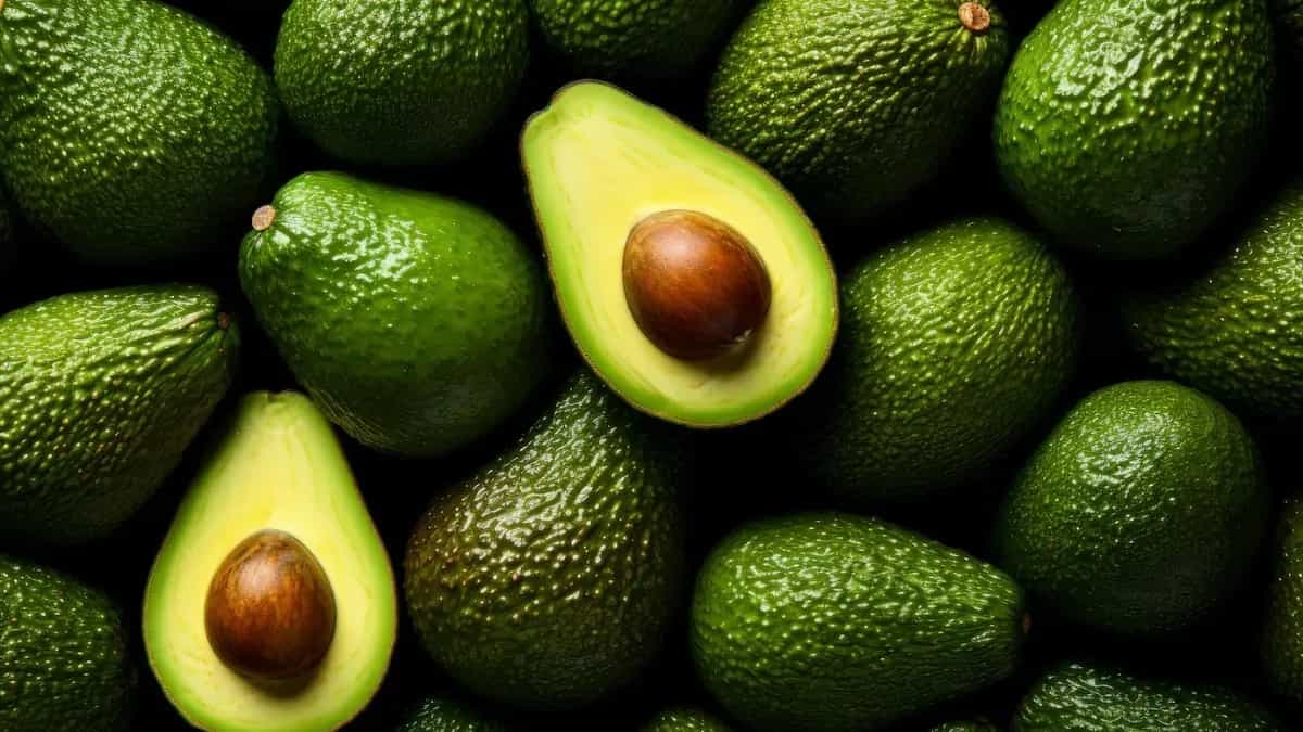 7 Simple Steps To Grow Avocado At Home From A Seed