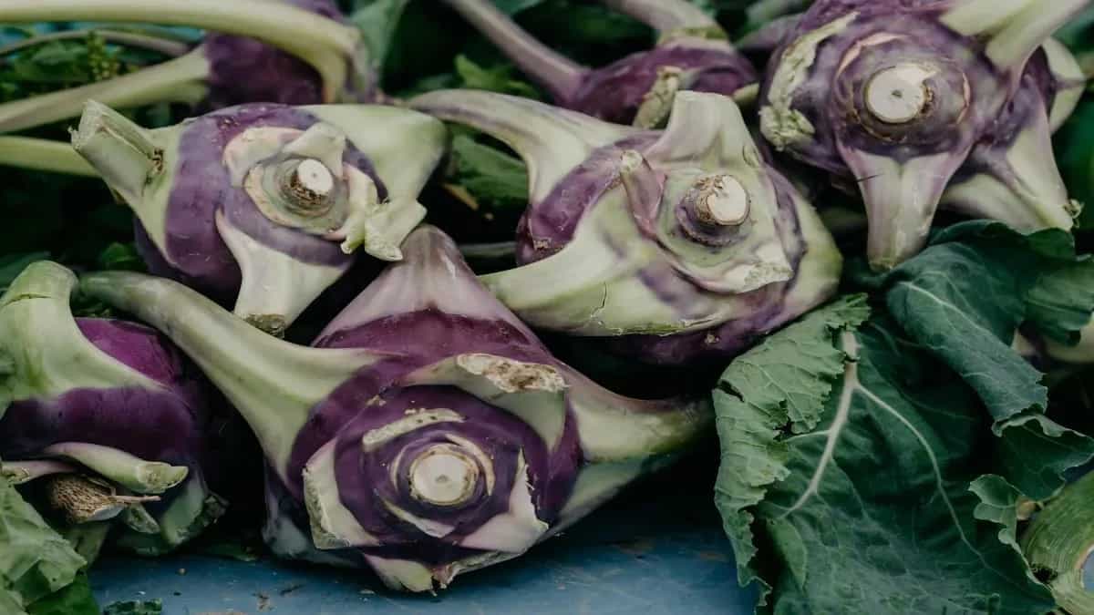 Discover 8 Shocking Benefits Of Turnip Backed Up By Science