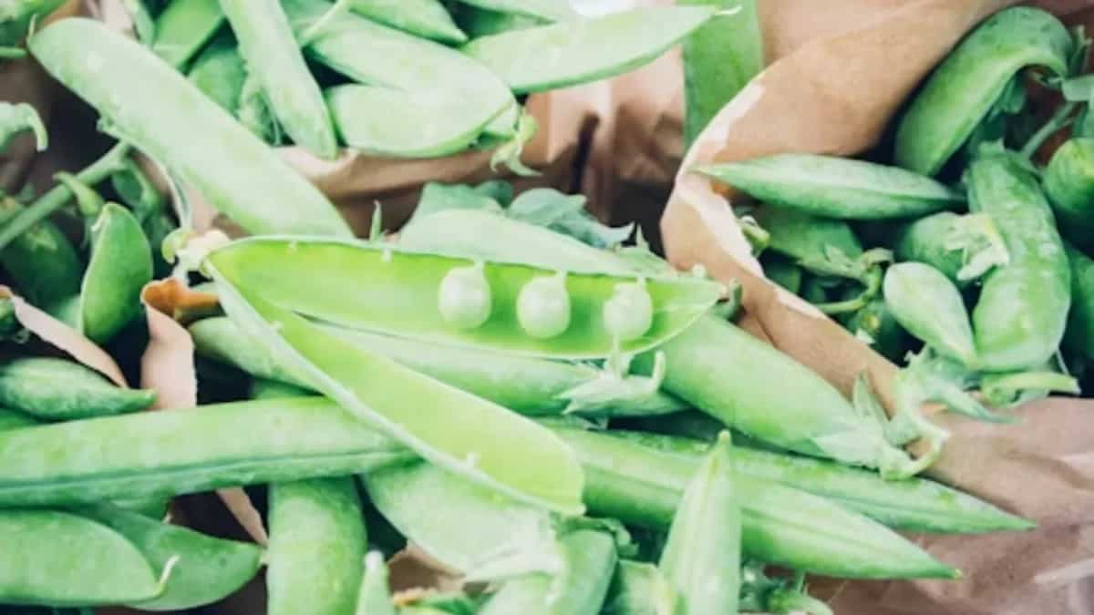 Home Garden Hacks: How To Grow A Peas Plant In Your Backyard