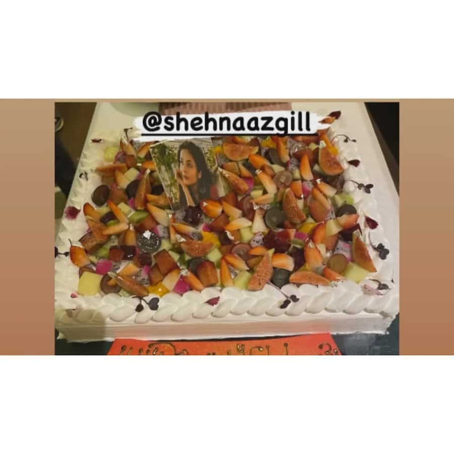 Shehnaaz Gill Rings In 31st Birthday With Fruit Cakes Fiesta