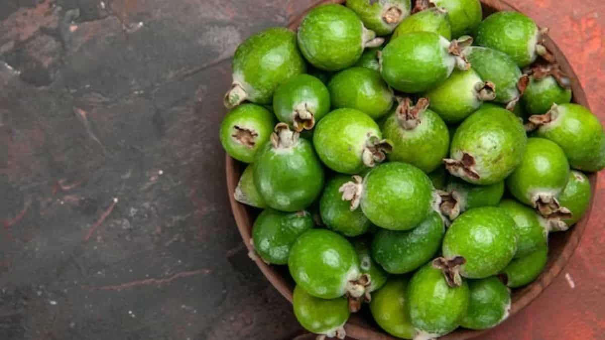 Mahua Juice From Tribal Regions Of Madhya Pradesh