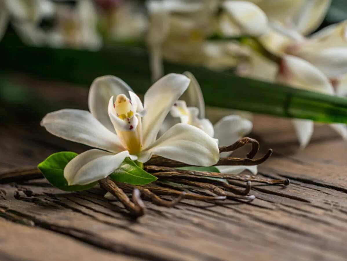 5 Incredible Health Benefits Of Vanilla Extract