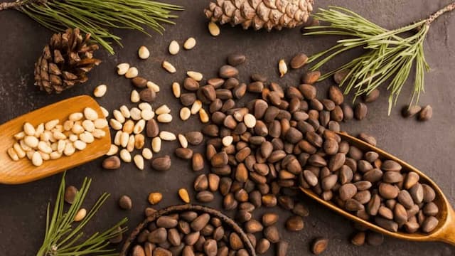 Growing Pine Nuts At Home: Essential Tips For Urban Gardeners