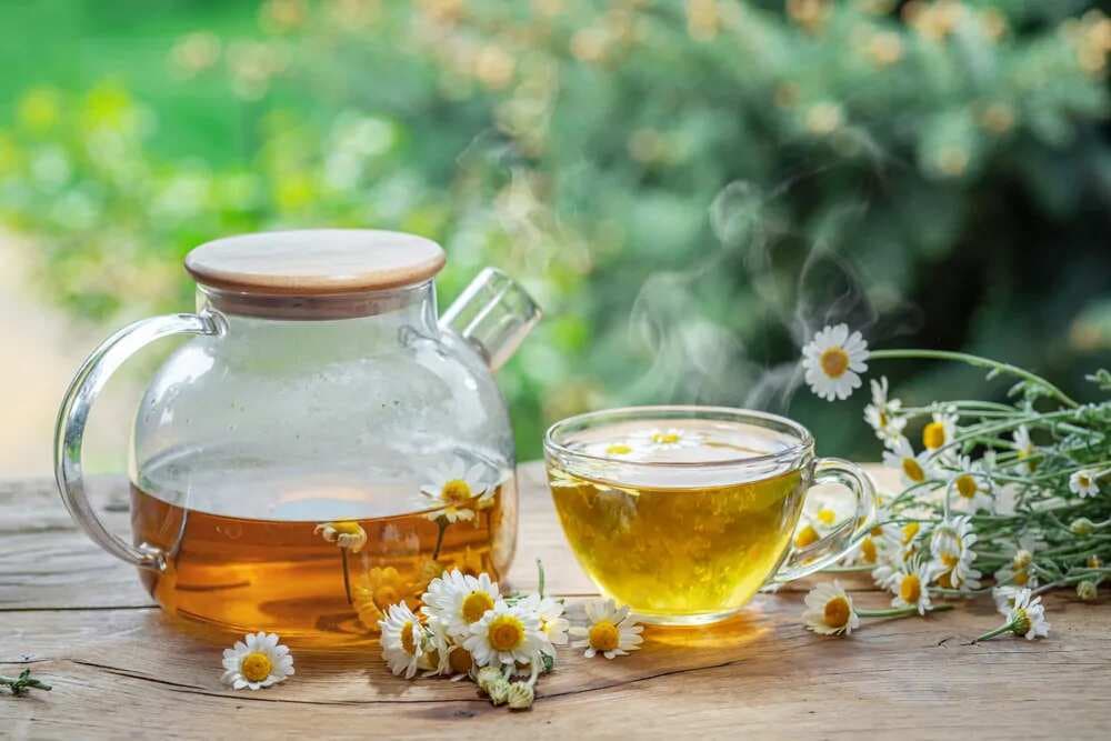 Chamomile Tea: A Calming Brew with Countless Health Benefits