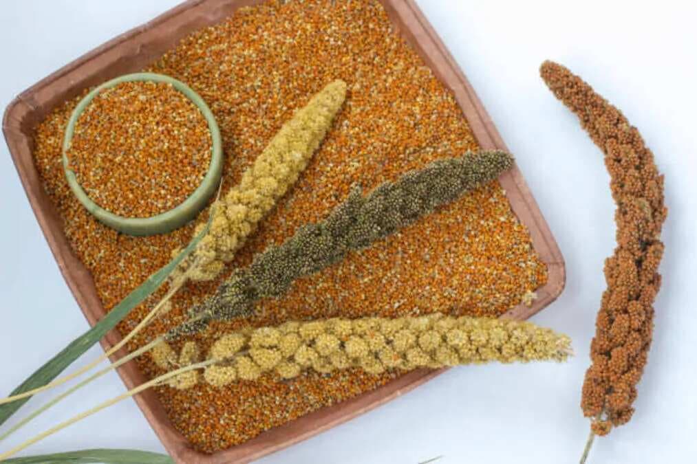 Jower To Bajra: 6 Millets For A Healthy Summer Diet