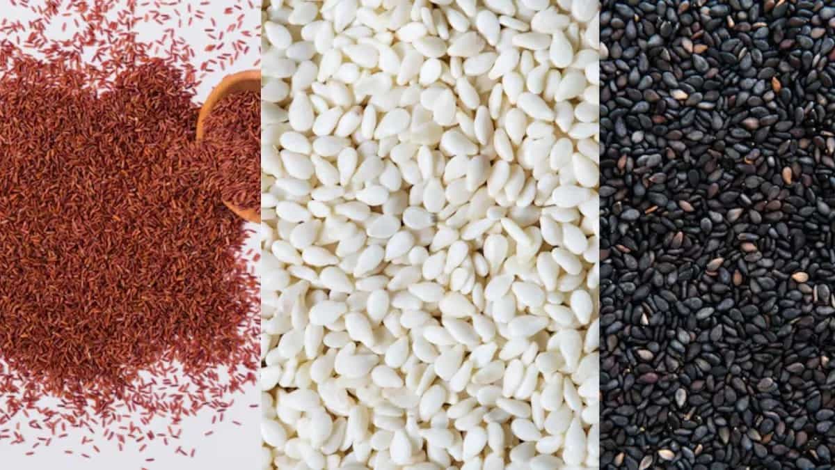 Differences Between Red, White, And Black Sesame Seeds