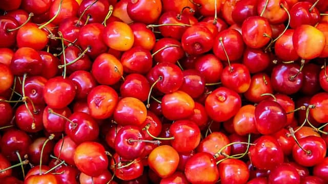 Growing Cherries At Home: Essential Tips To Keep In Mind