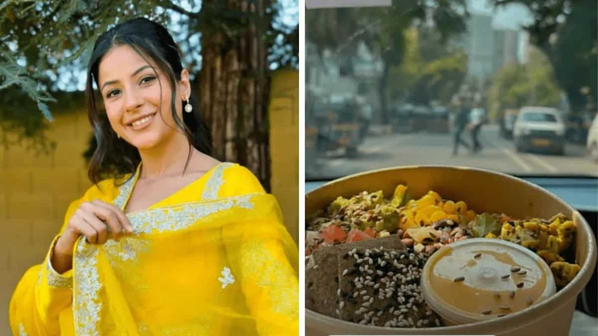 Shehnaaz Gill’s On-The-Go Meal Has All The Right Nutrients