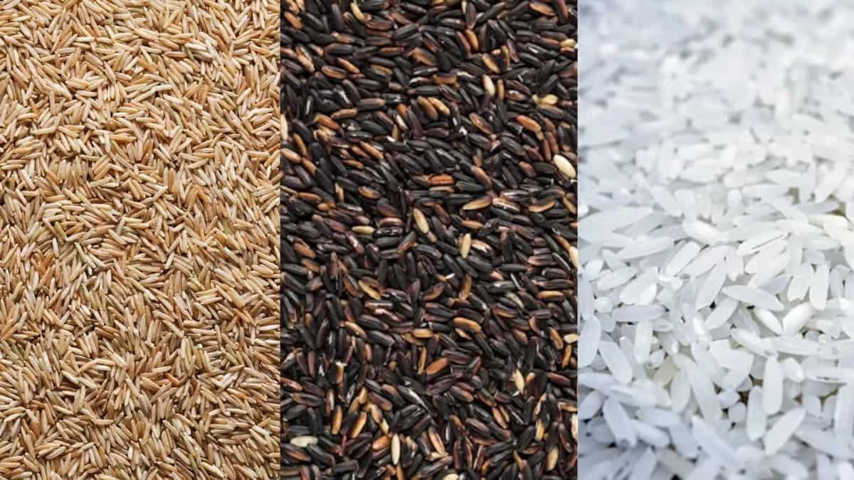 Difference Between Brown, Black And White Rice You Should Know