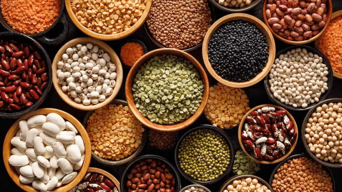 Jharkhand Govt Allotts 550 Crores For Distribution Of Pulses