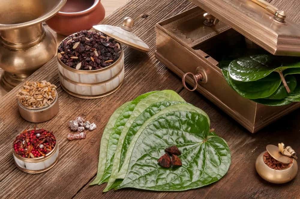 Betel Leaf: A Symbol Of Indian Traditions and Rituals