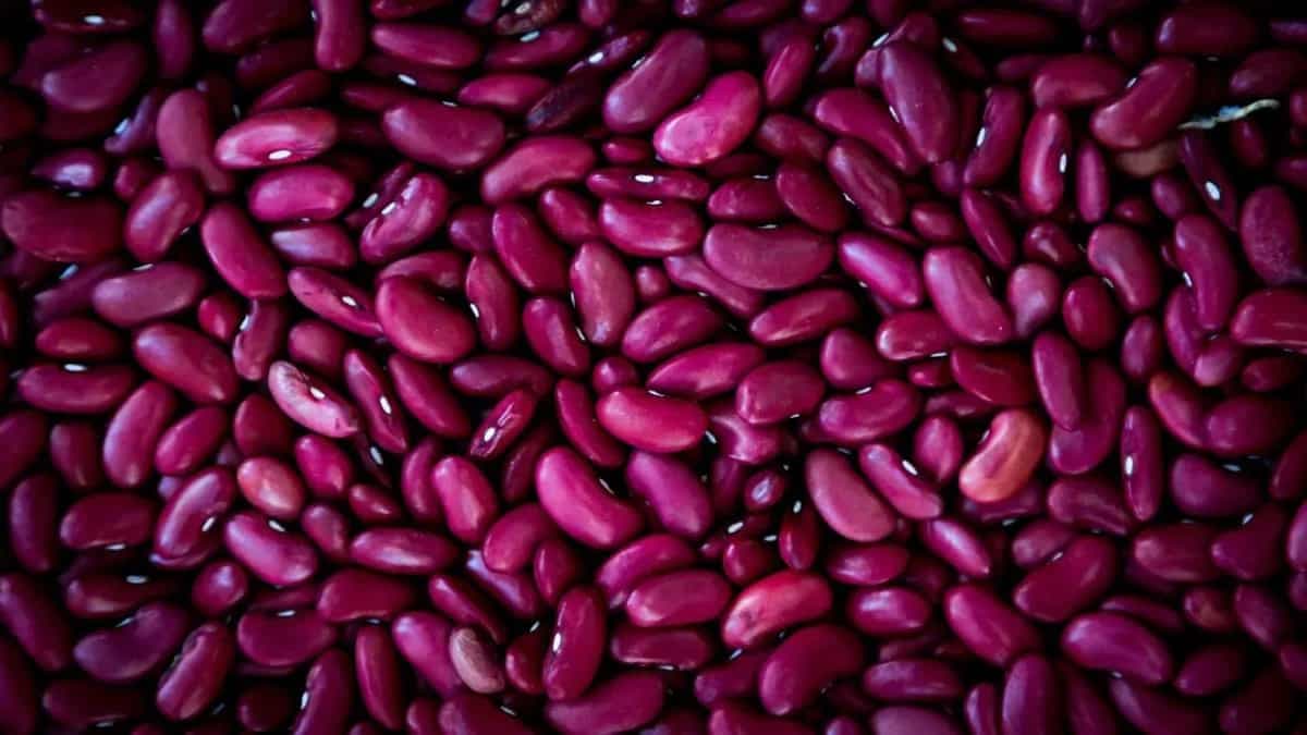 8 Kidney Bean Health Benefits You Didn’t Know Before