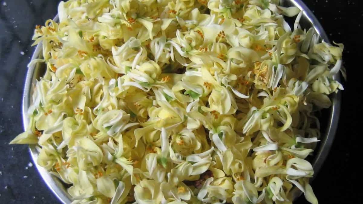 Drumstick Flowers: 5 Bengali Recipes With Sojne Phool 