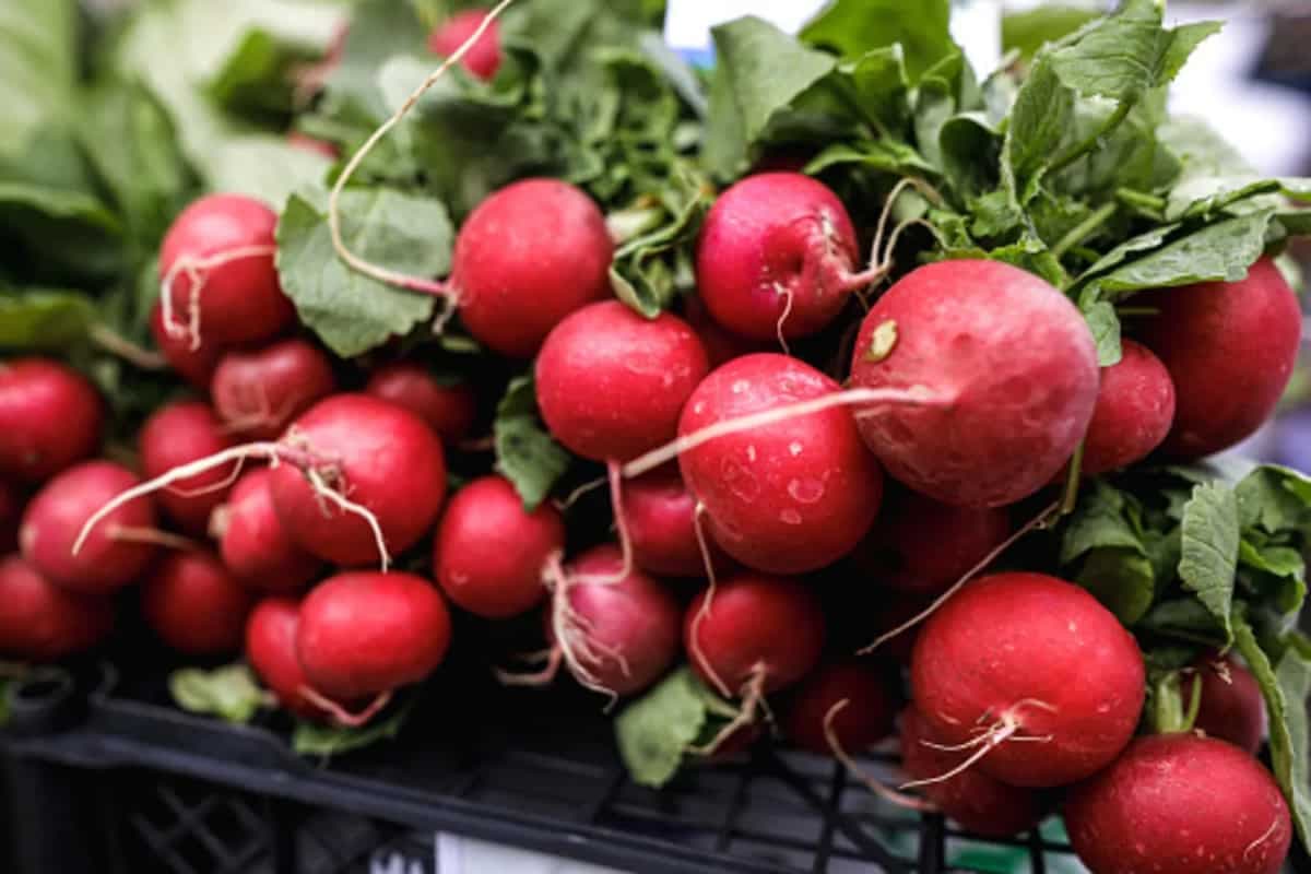 Kitchen Tips: 5 Simple Ways To Store Radishes